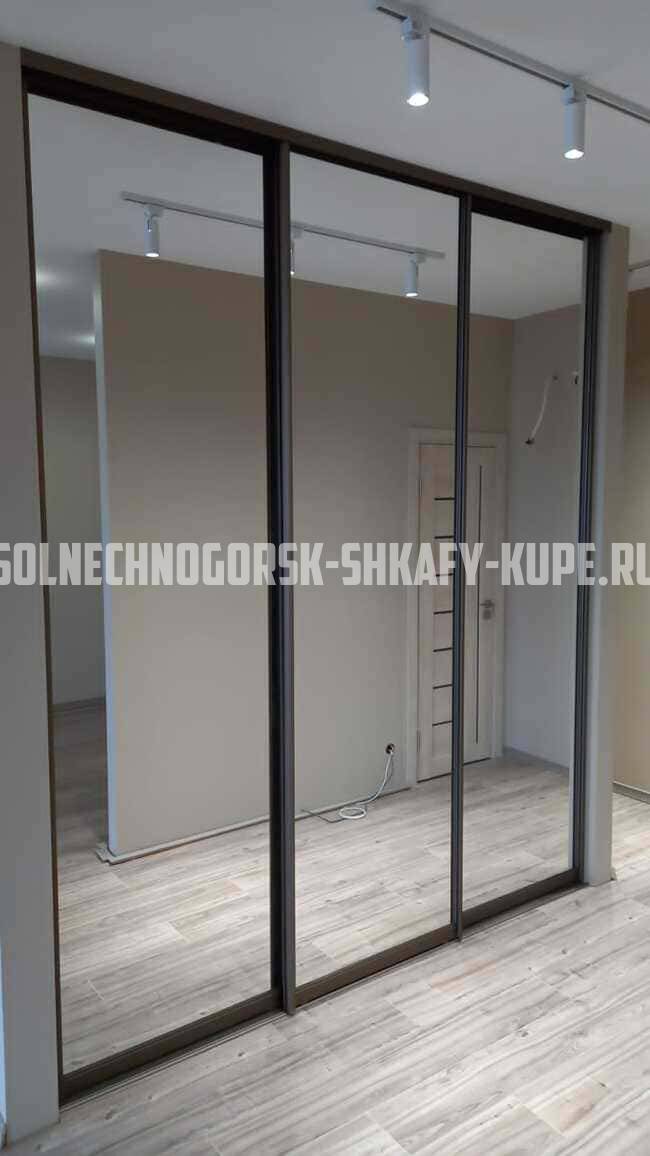 Встроенные шкафы-купе Солнечногорск
